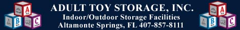 Adult Toy Storage