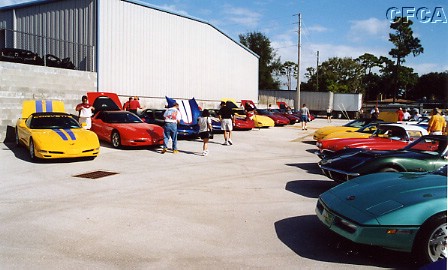 005.Tampa Bay Corvettes brought nine beauties.JPG