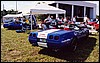015.'Vette Vixen' and 'Wild Thing' holding down the fort.JPG