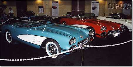 004.Plastic chains kept the hoi-poloi from the Vettes.JPG