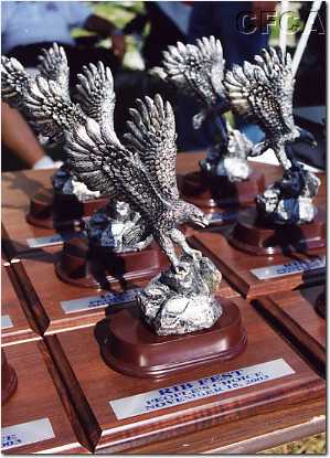 011.Oh, and there was a table full of nice Eagle trophies, too.JPG
