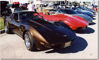 034.This brown '79 lead a line of spectacular Vettes.JPG