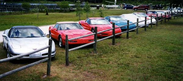 012.Is this here what y'all call a 'Corvette Corral'.jpg