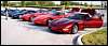 003.As the Vettes sat glistening in the early morning sun----.JPG