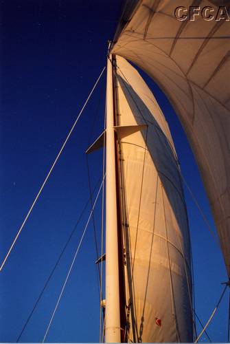119.It's always nice to have the wind in your sails.JPG