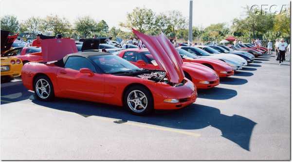 004.There were acres upon acres of Corvettes.JPG