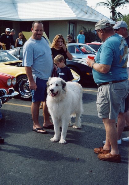 022.Not your typical pup, this big guy was a real hit with the crowd.JPG