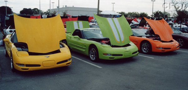 016.Pop Quiz---which one of these C5s is NOT a stock color.JPG
