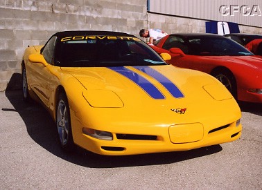 017.Tommy debuts his killer new stripes.JPG