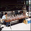 010.Watching over the VERY nice trophies.JPG