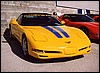 017.Tommy debuts his killer new stripes.JPG
