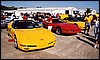 004.Yellow was a very popular color.JPG