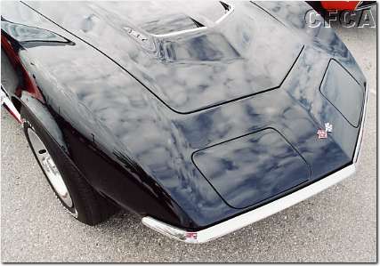 011.427 cubic inches of Shark.JPG