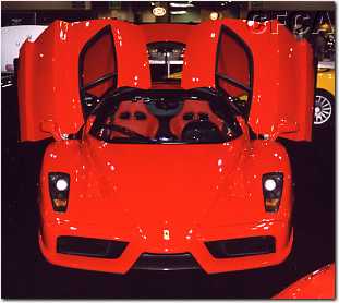 005.There were plenty of expensive exotics, like this Ferrari Enzo.JPG