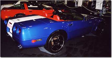 051.All on display to the thousands of show visitors.JPG