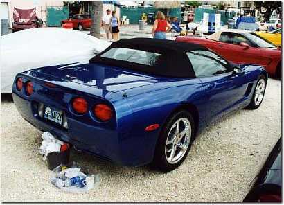 029.Debra's Electron Blue '02.jpg