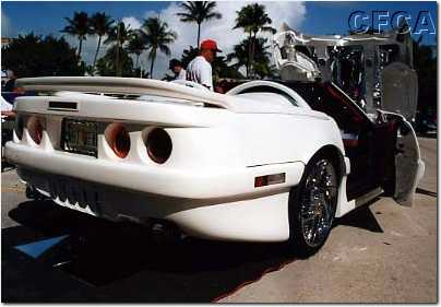 072.A different kind of rear end.jpg