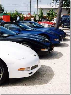 074.CFCA C5 noses (Tom, Ray, Debra and Kerry).jpg