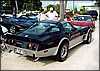 023.Bill, his '78 Pace Car and an admirer between sprinkles.jpg