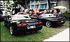 049.A matched set of tropical C5 bookends.jpg