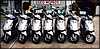 100.Key West-natural habitat and home of the Moped.jpg
