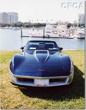033.This two-tone '81 had a killer backdrop.JPG