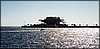 001.And right across the water from the St. Pete Pier.JPG