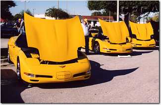 025.Millenium Yellow was a popular color.JPG