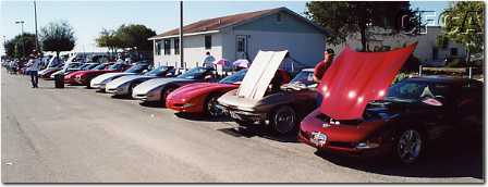 039.Still more beauties lined up for judging.JPG