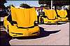 025.Millenium Yellow was a popular color.JPG