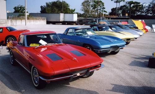 012.A trio of beautiful midyears glistens in the early morning sun.JPG