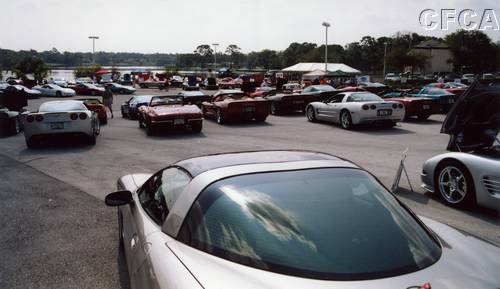 027.A view of the showfiled from the CFCA back 40.JPG