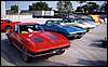 012.A trio of beautiful midyears glistens in the early morning sun.JPG