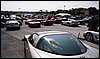 027.A view of the showfiled from the CFCA back 40.JPG