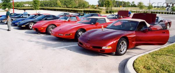 003.As the Vettes sat glistening in the early morning sun----.JPG