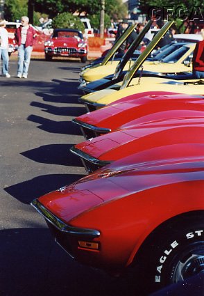 008.A bevy of beauties in the early morning sun.JPG