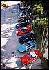 008.And there were going to be some beauties here today.JPG