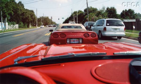 001.Following the Leader to Pleasure Island.JPG
