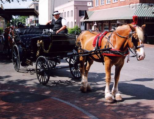 082.One of the nicer ways to tour Savannah.JPG