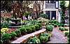 094.Another private garden.JPG