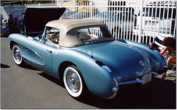 012.What an incredible rear end.JPG