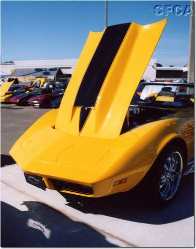 016.Not your Daddy's Stinger hood.JPG