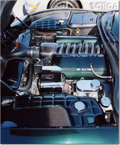 029.Lisa's spotless-enough-to-eat-off LS1 engine.JPG