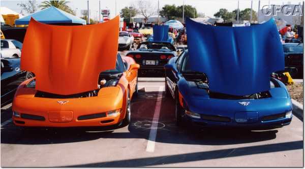034.Go, GATORS.JPG