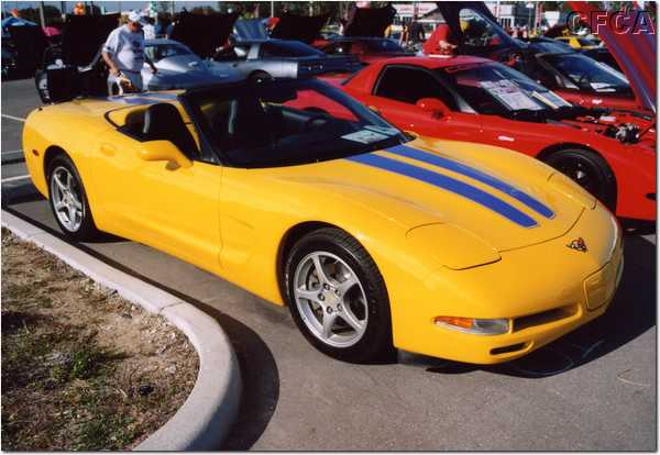 037.Tommy's Millennium Yellow screamer.JPG