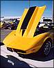 016.Not your Daddy's Stinger hood.JPG