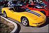 037.Tommy's Millennium Yellow screamer.JPG
