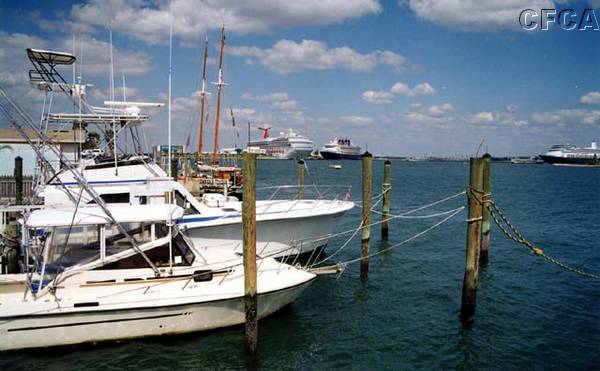 032.It really is a shame that Corvette shows have to be held in such dismal surroundings.jpg