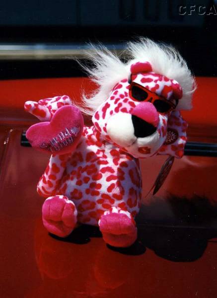 039.This little guy danced while playing 'Wild Thing'.jpg