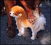 021.On our way to breakfast (which was like a Mystery Cruise on foot), Lisa discovered this little guy.JPG